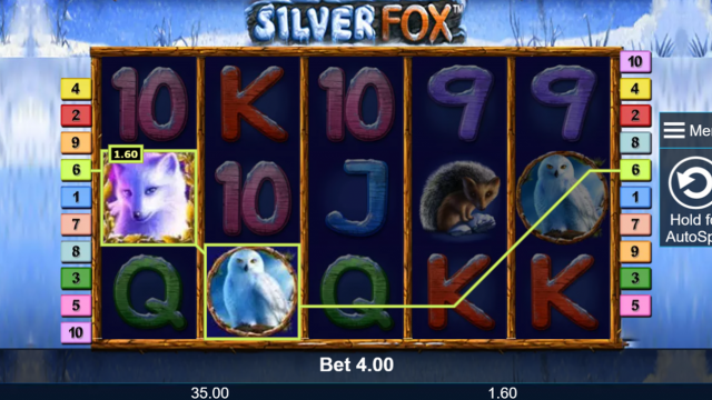 Игровой аппарат Silver Fox